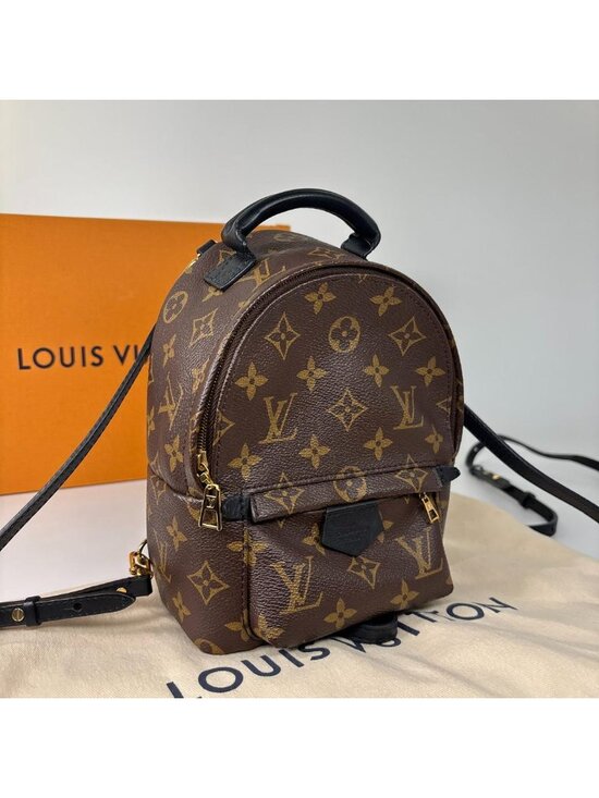 Louis Vuitton Palm Springs Mini Backpack Monogram main image 9